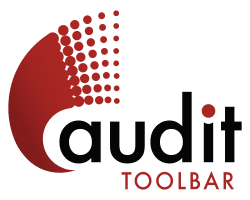 audit logo color 01